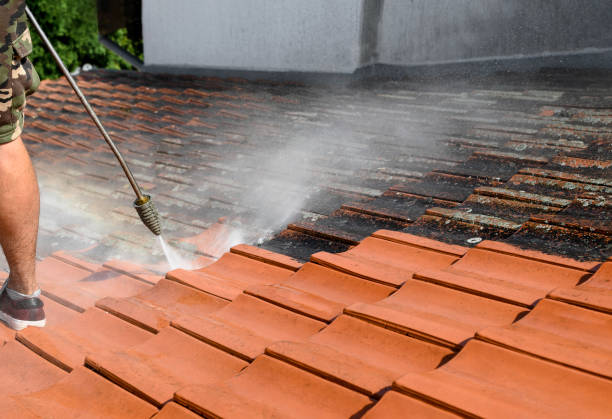 Local Pressure Washing Services in Kildeer, IL